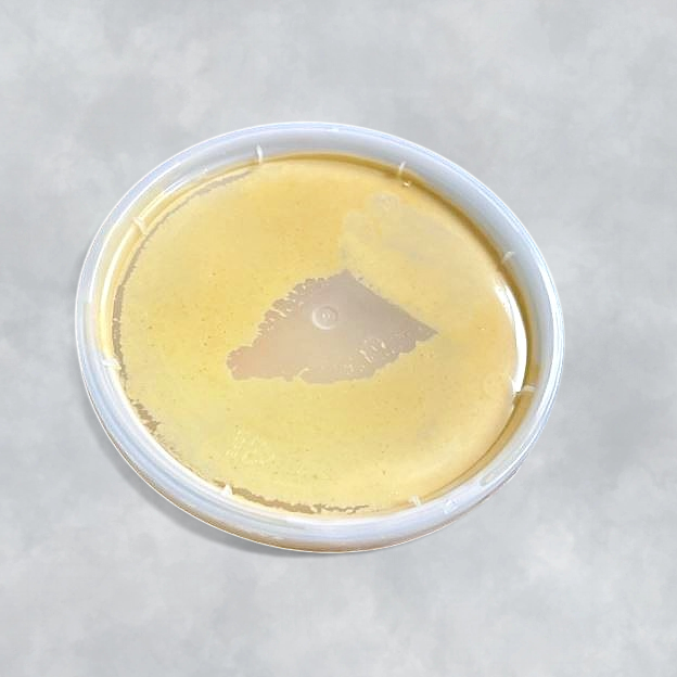 Best Hot Mustard Sauce in Philadelphia, PA