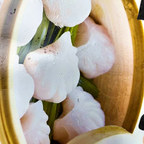 Best Shrimp Dumplings (7) in Boulder, CO