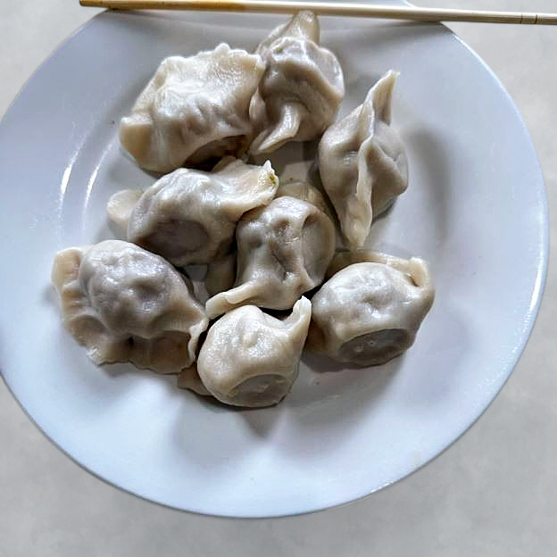 Best Vegetarian Dumpling (8) in Boston, MA