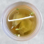 Best Wonton Soup in Lynnwood, WA