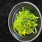 Best Seaweed Salad in Howard Beach, NY