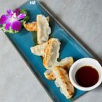 Best Gyoza in Brooklyn, NY
