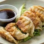 Best Fried Gyoza 日本锅贴 in Medford, NJ