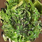 Best Seaweed Salad in Coon Rapids, MN