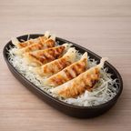 Best Gyoza in San Francisco, CA