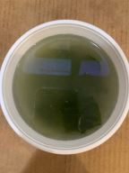 Best Miso Soup in Pearl, MS