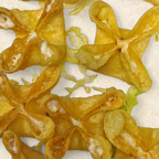 Best Krab Rangoon (8) in Boca Raton, FL