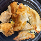 Best Pan Fried Dumpling (8) in Boca Raton, FL