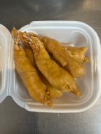 Best Fantail Shrimp (6) in Boca Raton, FL