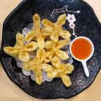 Best Fried Cheese Wonton in Oneonta, NY