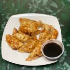 Best Gyoza in Tampa, FL