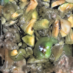 Best 宫保牛 Kung Pao Beef 午餐 in Kenmore, WA