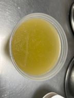 Best Plain Soup净汤 in Levittown, NY