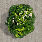 Best Garlic Broccoli in Brooklyn, NY