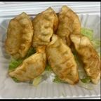 Best Fried Dumplings(6) in Colorado Springs, CO