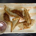 Best Gyoza (6) in Temple Terrace, FL