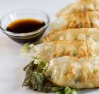 Best 锅贴 Fried Dumplings in Winterville, NC