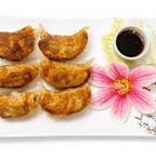 Best Fried Dumpling (8) 锅贴 in Pompton Lakes, NJ