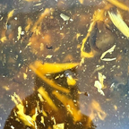 Best Hot & Sour Soup in North Platte, NE