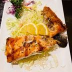 Best Salmon Collar in Dublin, CA