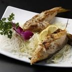 Best Yellowtail Collar in Dublin, CA