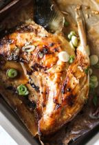 Best Yellowtail Collar in Sherman Oaks, CA