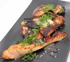 Best Salmon Collar in Sherman Oaks, CA