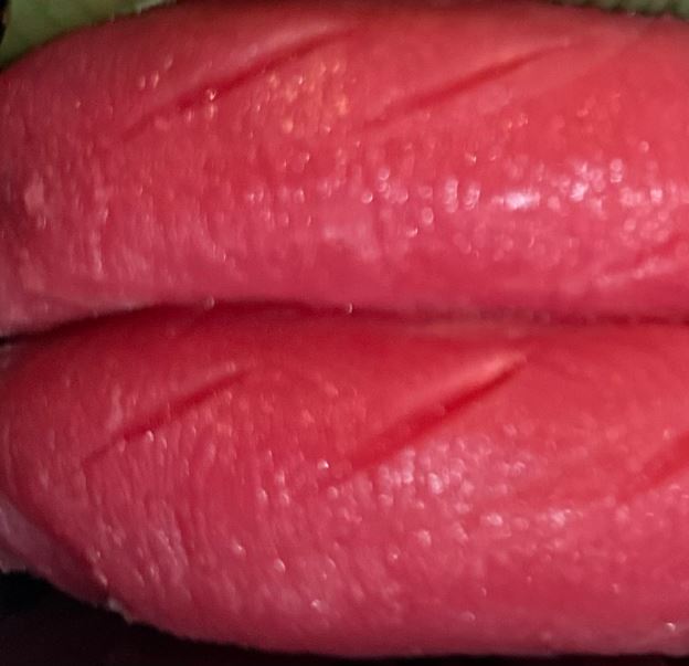 Best Tuna (Maguro) in Philadelphia, PA
