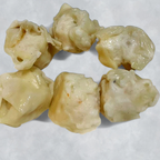 Best Shumai in Philadelphia, PA