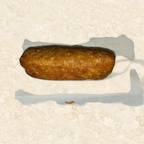 Best Egg Roll 春卷 in Ashtabula, OH