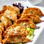 Best Steamed Dumpling in Philadelphia, PA