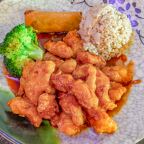 Best 左宗鸡 General Tso's Chicken in The Villages, FL