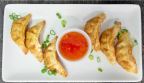Best Pork Gyoza Dumplings in Port St Lucie, FL