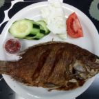 Best Fried Tilapia in Sugar Land, TX