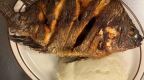 Best Nsima and Full Tilapia in South Bend, IN