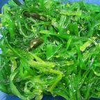 Best Seaweed Salad 海带丝沙拉 in Rapid City, SD