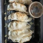 Best Goyza in Dobbs Ferry, NY