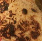 Best Vegan Cheese Quesadilla in Tucson, AZ