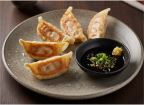 Best Gyoza in Ann Arbor, MI