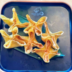 Best Crab Rangoon in Baton Rouge, LA