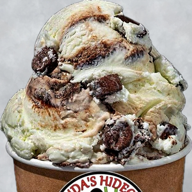 Best Double Fudge Mint Chocolate Brownie (1 scoop) in Lake Park, FL