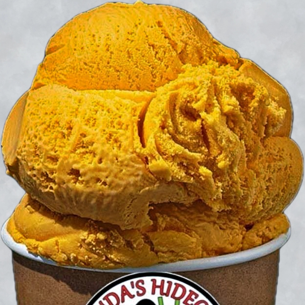 Best Mango Fiesta (1 scoop) in Lake Park, FL