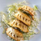 Best Fried Dumplings in Denver, CO