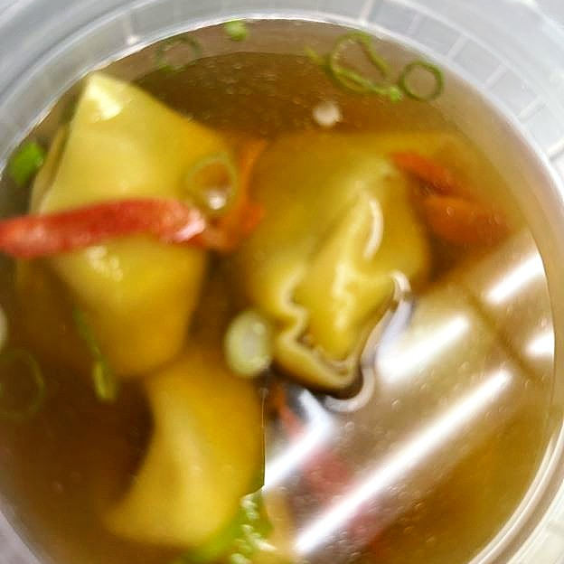 Best Wonton Soup 云吞汤 in Stow, OH