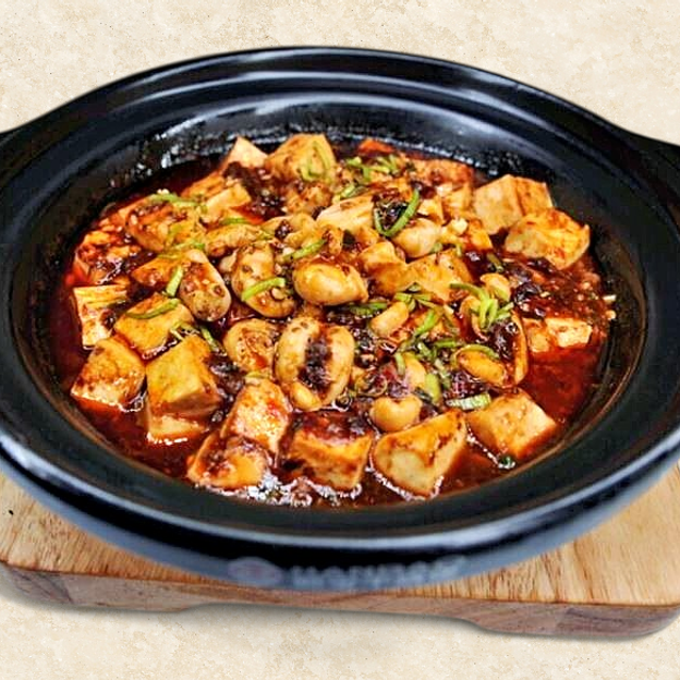 Best Bean curd hunan style 麻婆豆腐 in Northbrook, IL