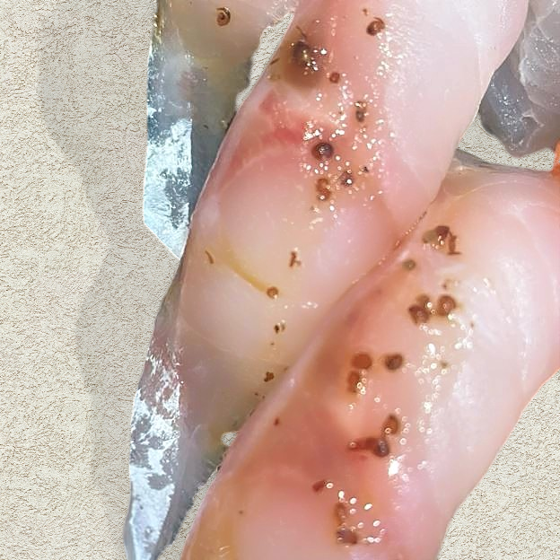 Best Striped Bass in Hillsdale, NJ