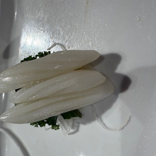 Best SA-Squid (Ika) in Ann Arbor, MI