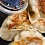 Best Gyoza in Madison, MS