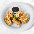 Best Fried Dumplings (6) in Doral, FL