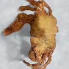 Best 15. Soft Shell Crab (Deep Fried) 炸软壳蟹 in Rochester, NY